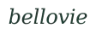 Logo tekstowe - strona główna