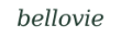 Logo tekstowe - strona główna